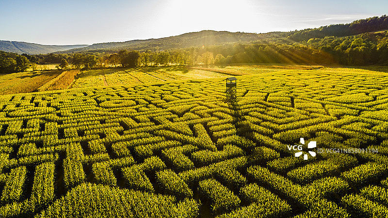 宾夕法尼亚州波科诺斯地区的巨型万圣节玉米迷宫图片素材