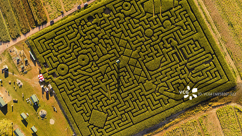 宾夕法尼亚州波科诺斯地区的巨型万圣节玉米迷宫图片素材
