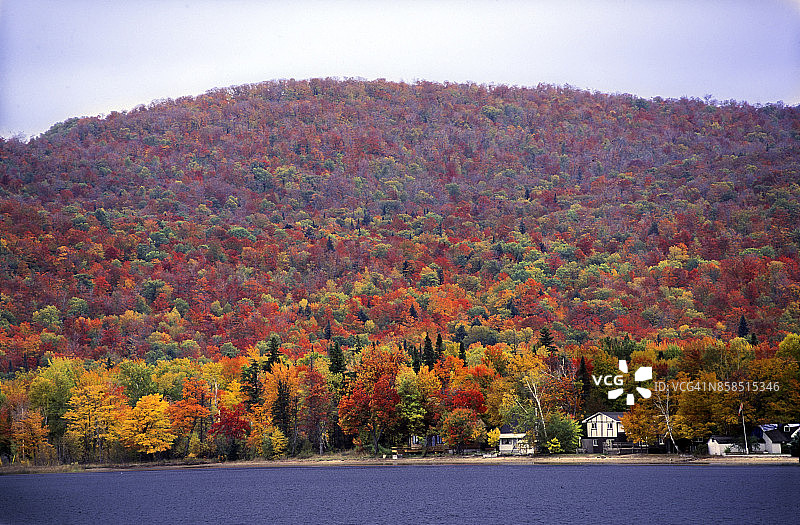 加拿大安大略省阿尔冈昆省立公园地区的秋叶景色图片素材