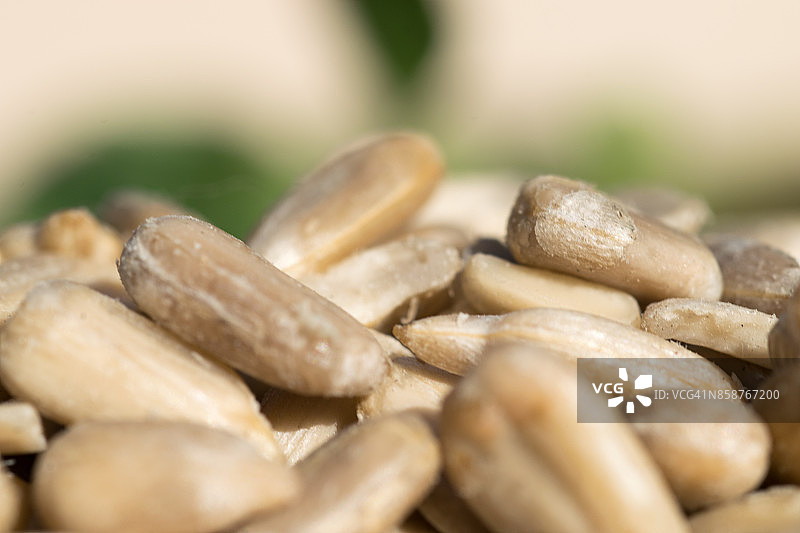 去皮葵花籽图片素材