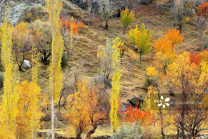 巴基斯坦吉尔吉特-巴尔蒂斯坦的秋天图片素材