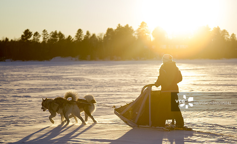 年轻女孩和她的狗拉雪橇在日落时分图片素材