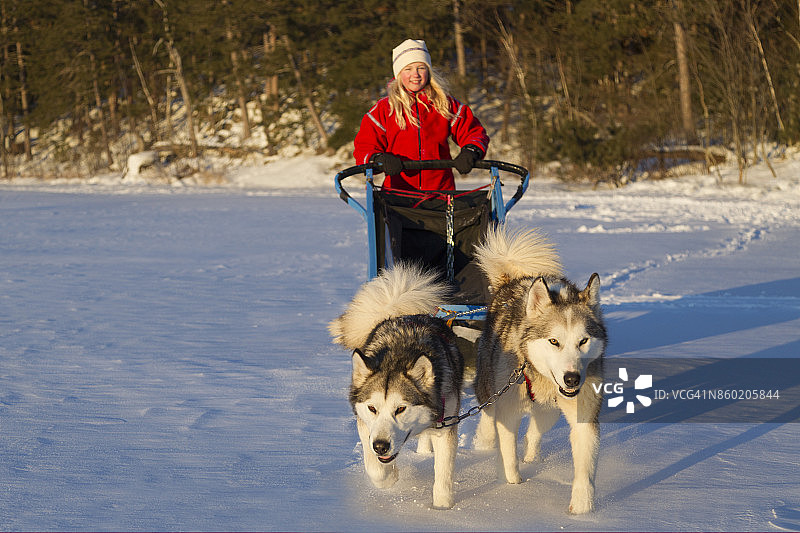 一位年轻女孩和她的狗拉雪橇图片素材