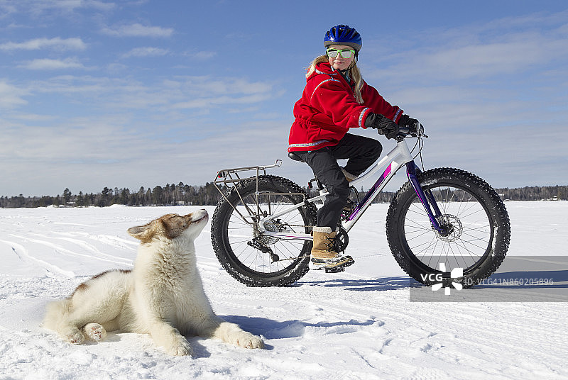 年轻女孩与胖胎自行车和哈士奇图片素材