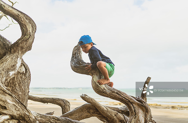 在海滩上爬木头的孩子图片素材