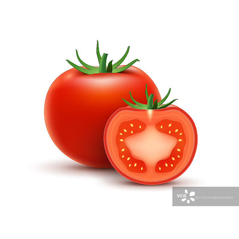 白色背景番茄切片：健康蔬菜的逼真有机食品矢量图图片素材