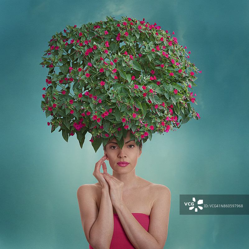 花卉发型图片素材