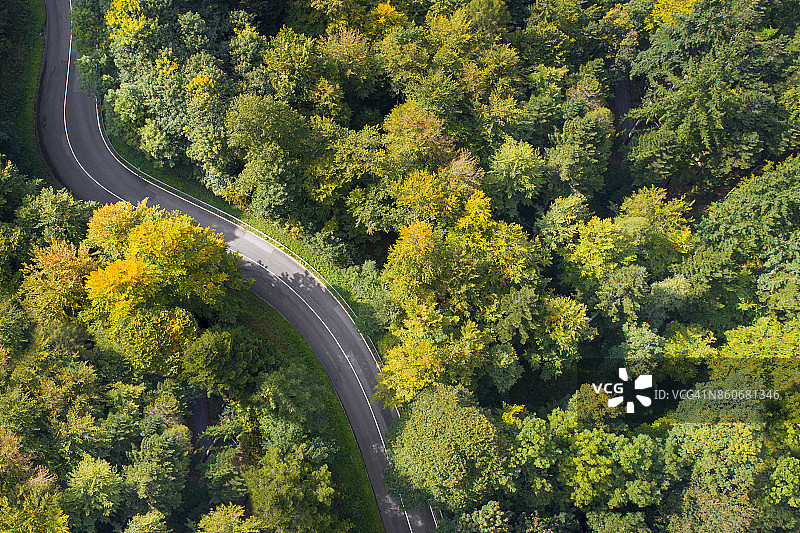 穿过森林的蜿蜒道路图片素材