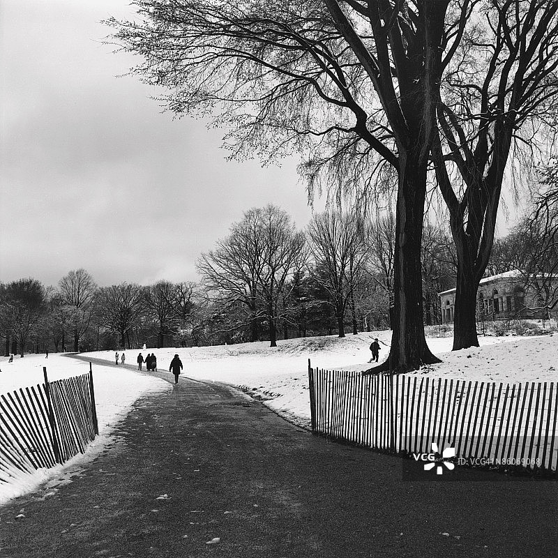 人们在白雪覆盖的公园小路上行走图片素材