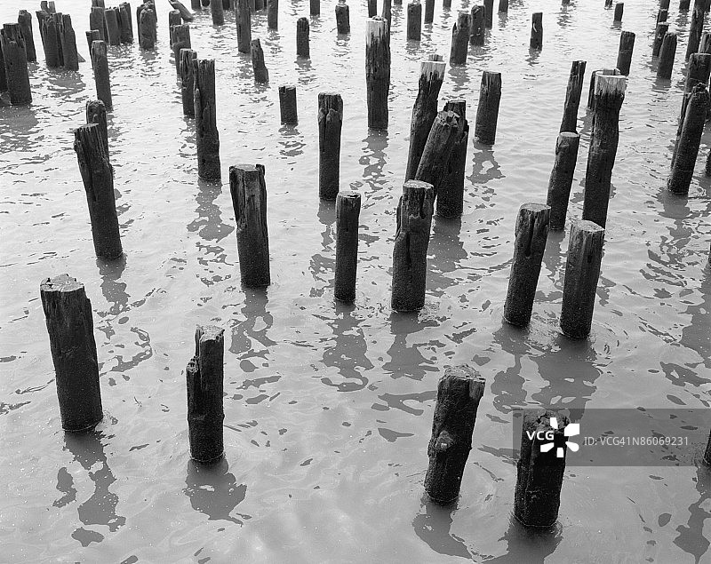 水中的木桩图片素材