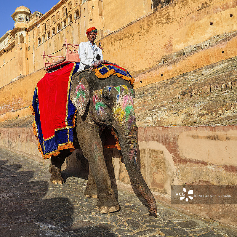 印度斋浦尔琥珀堡附近骑在大象上的印度男子（象夫）图片素材