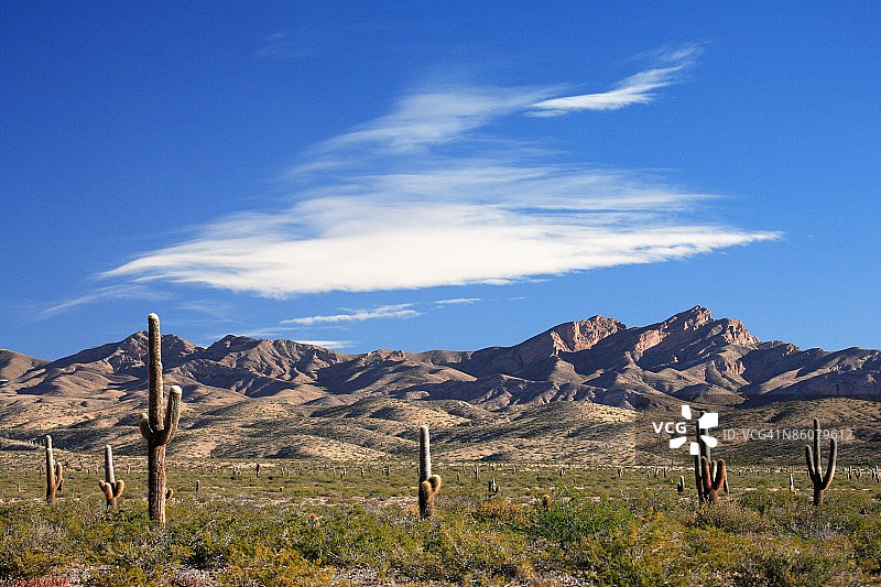 阿根廷沙漠图片素材