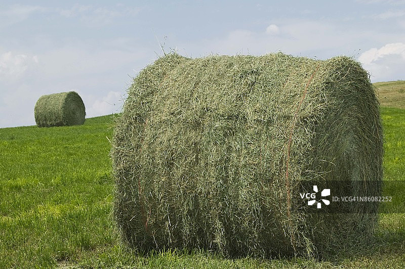 华盛顿州奥赛罗的绿色牧场上堆放着大型干草捆图片素材