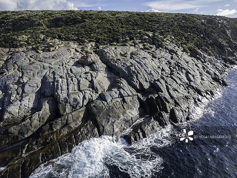 海王星岛北部鸟瞰：皮毛海豹和海狮在午后阳光下休息，南澳大利亚图片素材
