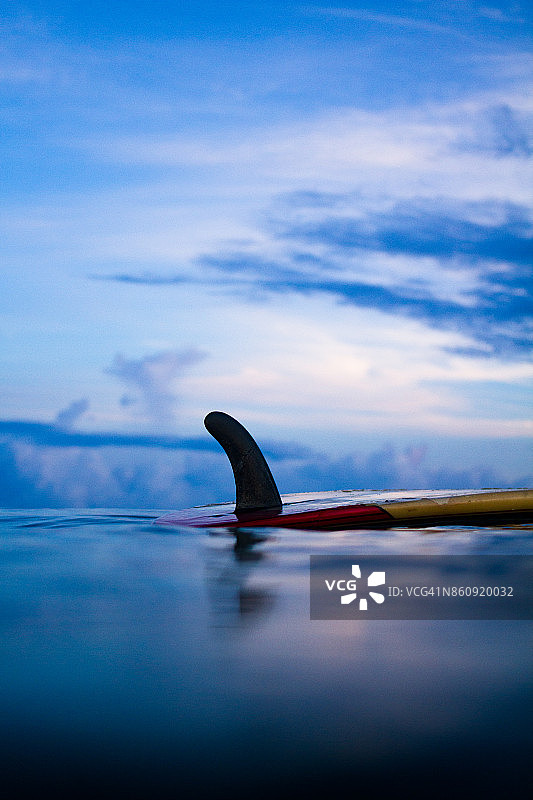 黎明时分的单个鱼鳍图片素材