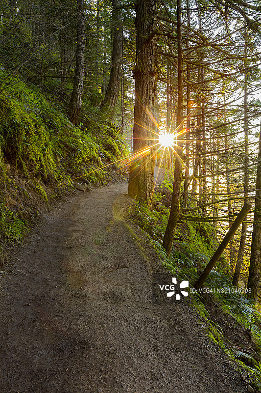 俄勒冈州徒步小径图片素材