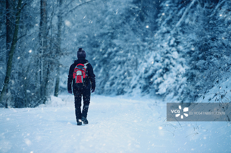 冬日晨间漫步图片素材
