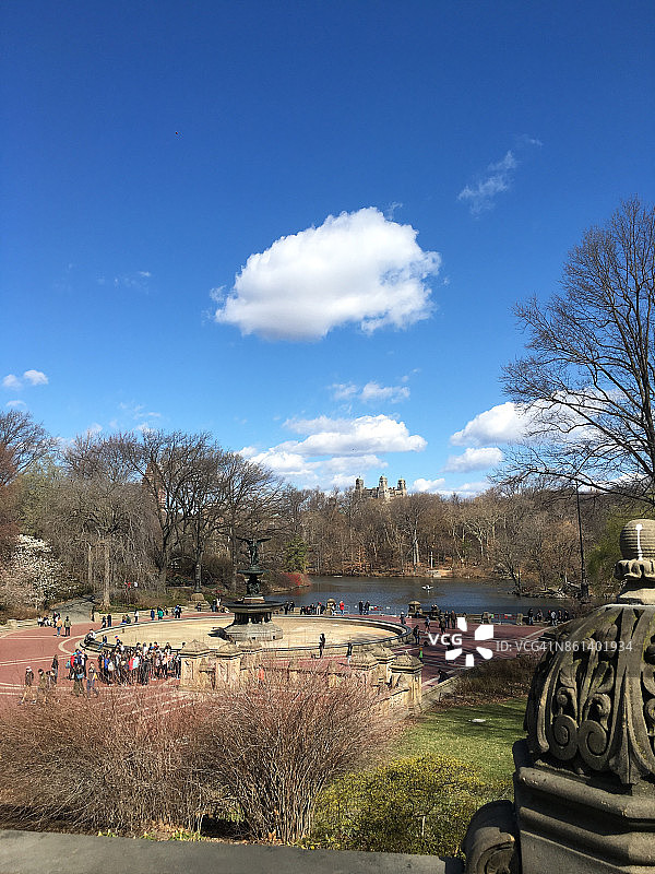 中央公园景观图片素材