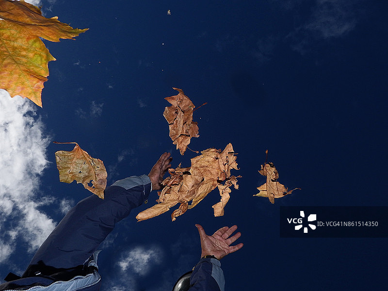 男人在公园里扔落叶图片素材