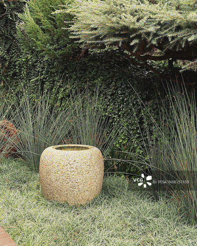 喷泉和树叶图片素材