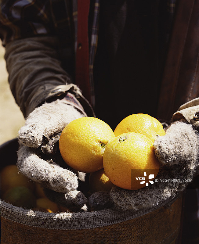 手持橙子图片素材