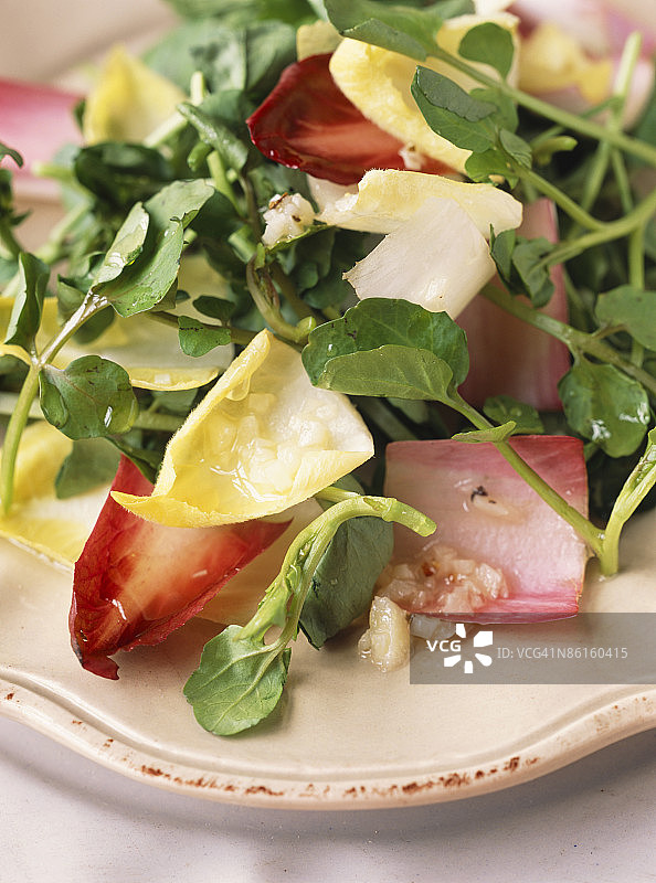 混合绿色蔬菜沙拉图片素材