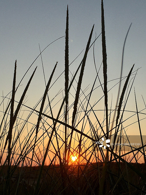 体验纽约市：日落时分人迹罕至的蒂尔登堡海滩图片素材