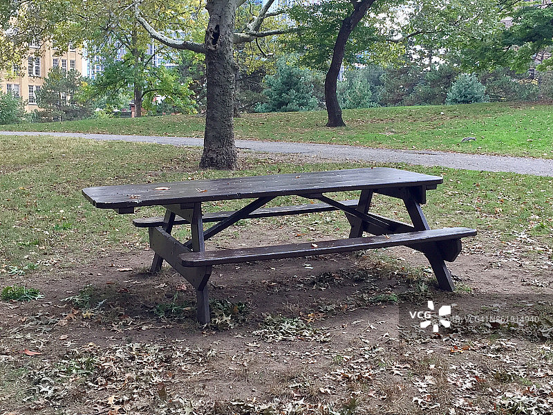 城市公园里的木制野餐桌图片素材