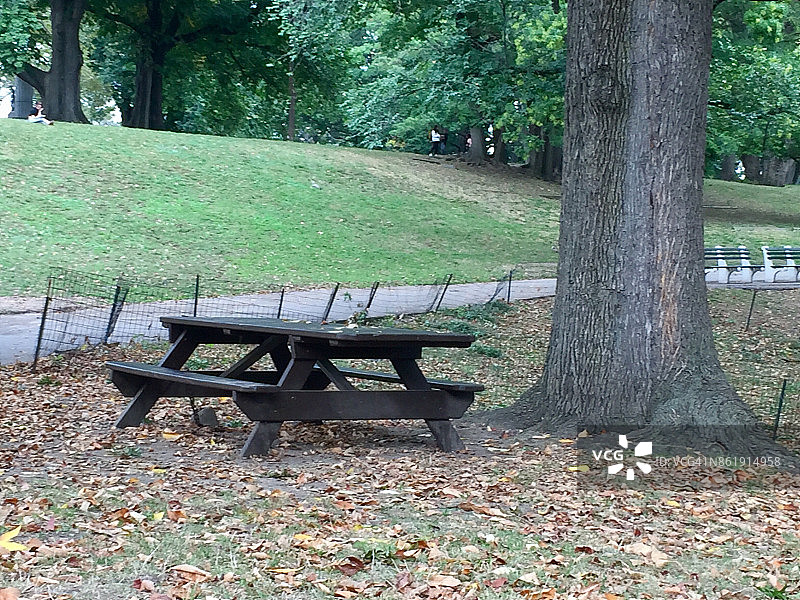 城市公园里的木制野餐桌图片素材