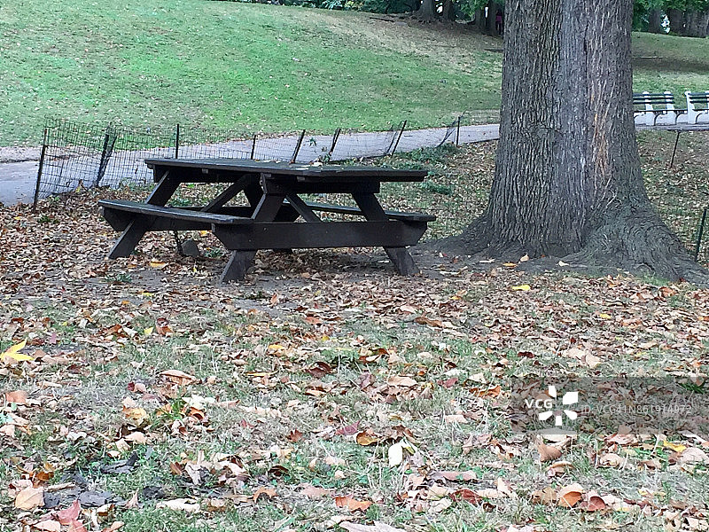 城市公园里的木制野餐桌图片素材