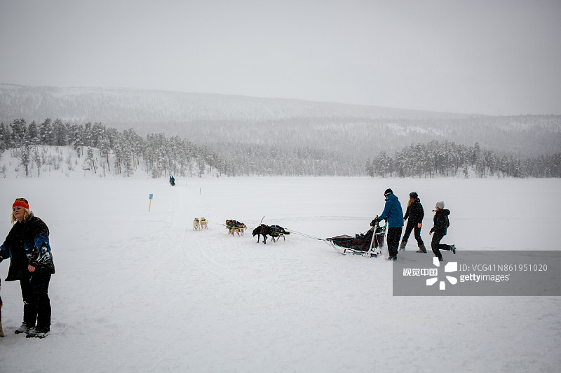 在挪威盖洛的狗拉雪橇图片素材