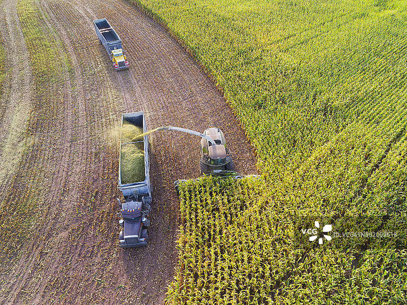 秋季半挂卡车和农用机械收割玉米图片素材