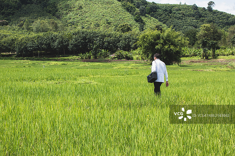 年轻医生在绿色麦田里指向未来，寻找新的创业机会，偏远地区社区卫生与发展医院发展基金概念图片素材