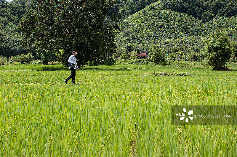 年轻医生在绿色麦田里指向未来，寻找新的创业机会，偏远地区社区卫生与发展医院发展基金概念图片素材