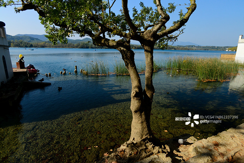 巴尼奥莱斯池塘图片素材