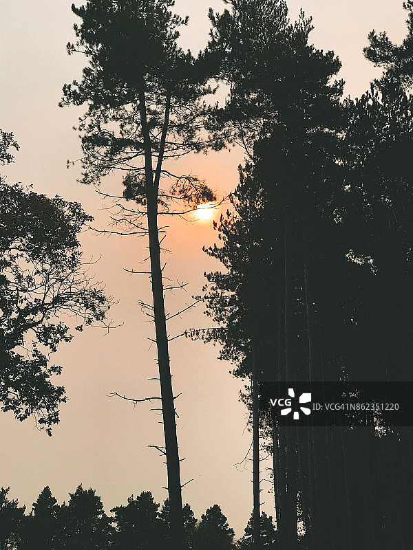 血红色太阳图片素材