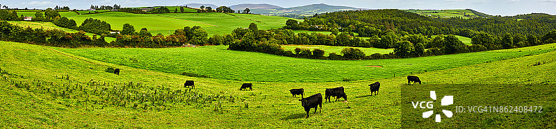 爱尔兰沃特福德乡村风光图片素材