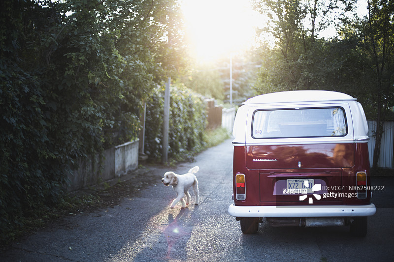 日落时分小巷里的红色大众老式厢型车图片素材
