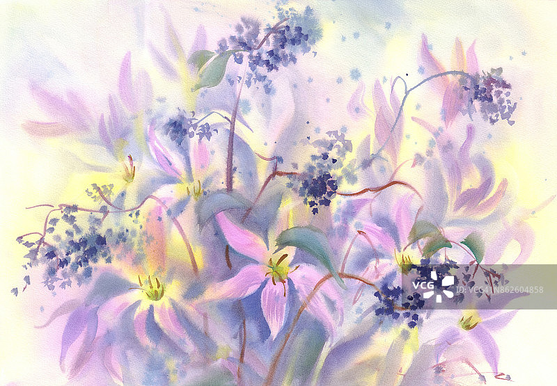 秋水仙和黑色浆果水彩画图片素材