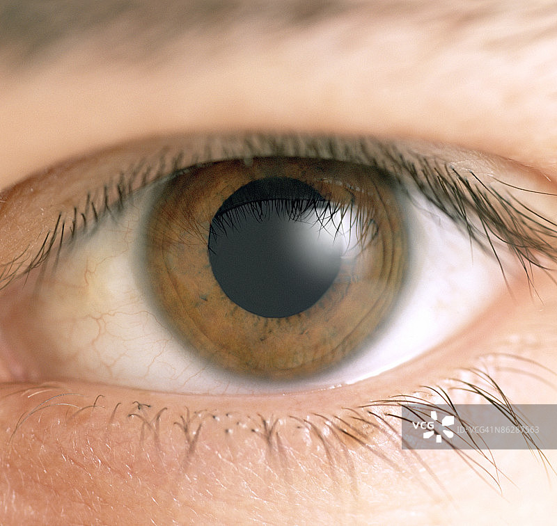 眼睛特写图片素材