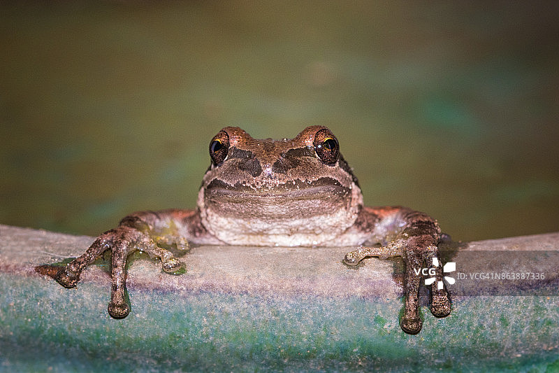 出去玩图片素材