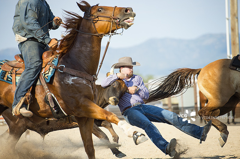 牛仔在牛仔竞技表演中摔跤图片素材