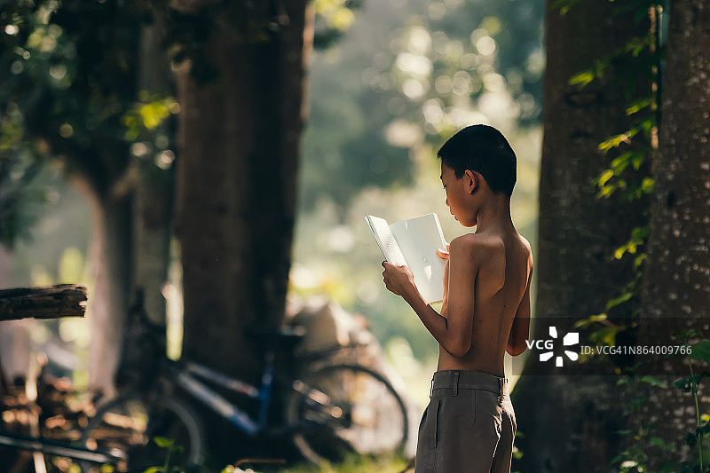 乡村儿童在森林里读书图片素材