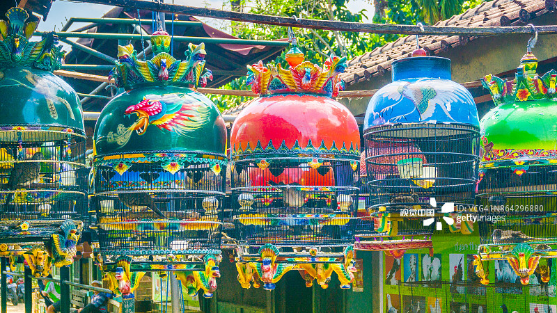 印度尼西亚日惹鸟市图片素材