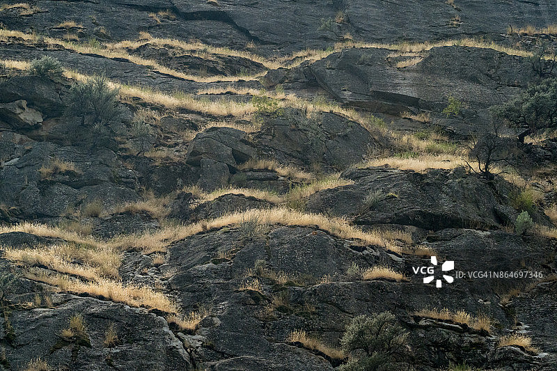 爱达荷州萨蒙河中岔图片素材