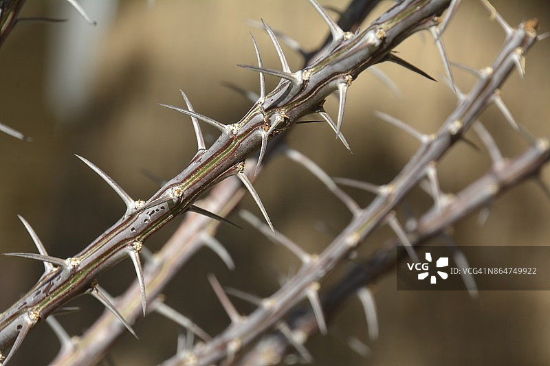 耶稣受难救赎图片素材