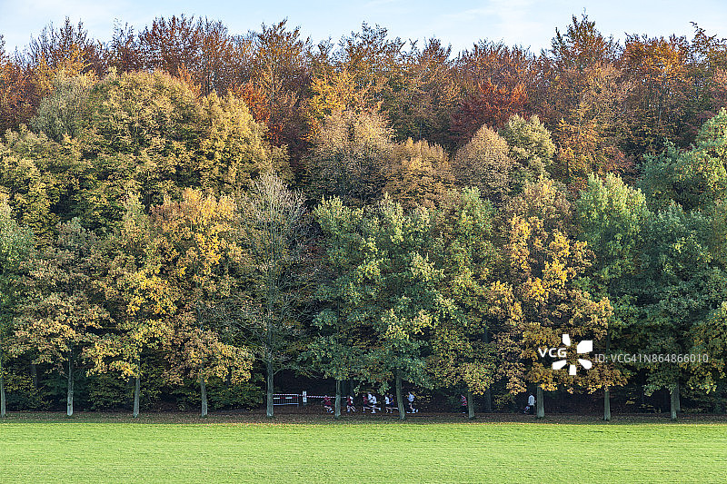 秋季泰尔弗伦公园图片素材