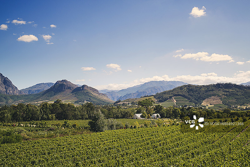 弗朗舒克葡萄园风光图片素材