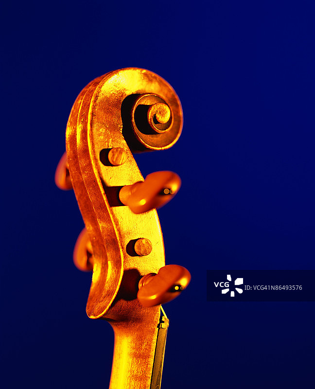 大提琴琴柄图片素材