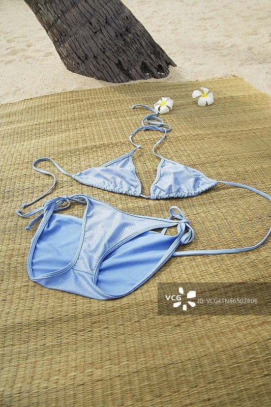 沙滩垫上的鲜花比基尼图片素材